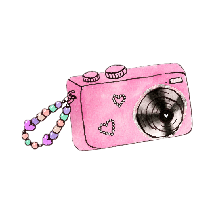 Digi Cam sticker